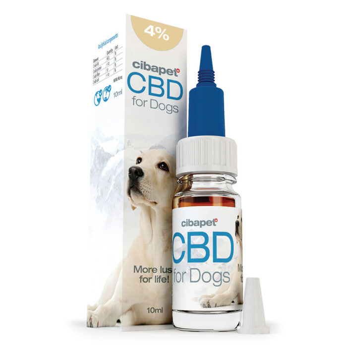 wholesale cibdol oil for dog 4