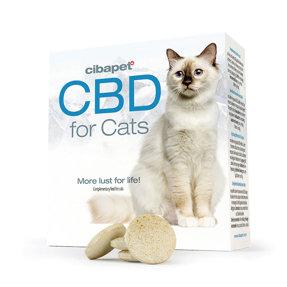 wholesale cibdol pastilles cat