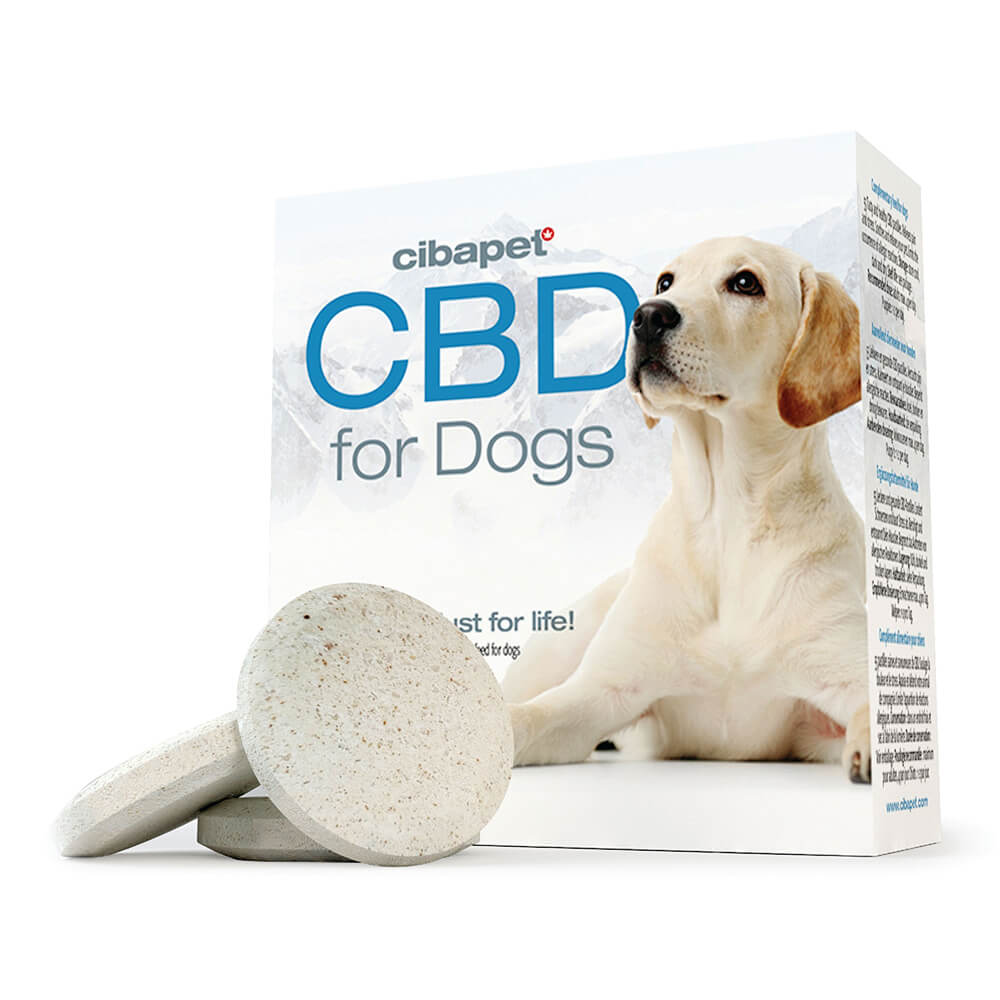 wholesale cibdol pastilles dog